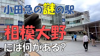 相模大野の住みやすさ。ローカルな雰囲気が魅力のベッドタウン【相模原市】 [upl. by Wat130]