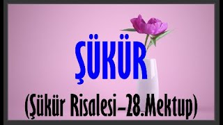 ŞÜKÜR KONUSU ŞÜKÜR RİSALESİ28Mektup [upl. by Ulises]