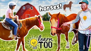 Horseback Riding 🐎  Learn About Horses for Kids  Ride Horses on the Farm  Educational for Kids [upl. by Irabaj]