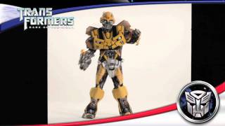 DG28527  BUMBLEBEE THEATRICAL COSTUME [upl. by Adnohser]