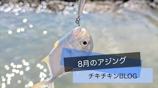 8月のアジング 沖縄 南部 釣り ルアーフィッシング ライトゲーム fishing okinawa fishingvideo SHIMANO [upl. by Oicnanev]