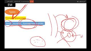 Membranous organelle Lysosomes [upl. by Eyahsal]