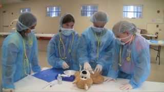 Campers perform mock spay surgery at Humane Society [upl. by Smukler671]