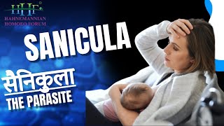 HHF Homeopathy in Marathi  Sanicula Homeopathic remedy for babies and children problems [upl. by Nybbor]