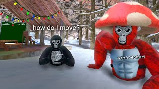 I taught a New Person in Gorilla Tag [upl. by Bergwall466]