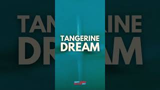 Tangerine Dream  Rubycon An Iconic Work of Electronic Music [upl. by Lukasz]