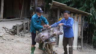 Selling wild boar How to take care of more than 30 wild boars Green forest life [upl. by Rangel]