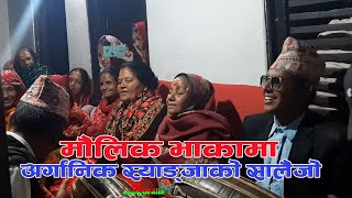 अर्गानिक स्याङ्जाको मौलिक सालैजो भाकाSyangja Ko Salaijo [upl. by Shalna695]