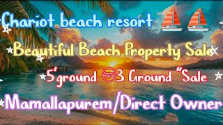 🆔600 ⛱️ Beautiful Beach Property Sale3 Ground amp5quotGroundMamallapuremChariot beach resortDirect 🌴 [upl. by Leirud]