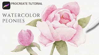 How to Paint Watercolor Peony Flowers in Procreate  Realistic Watercolor Peonies Tutorial [upl. by Tarrel]