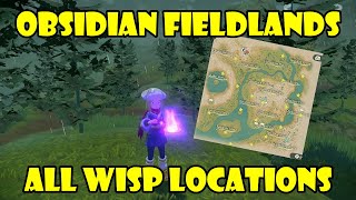 All Wisp locations in Obsidian Fieldlands Map with markings Pokemon Legends Arceus [upl. by Airdnaxila]