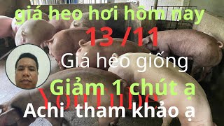 Giá heo hơi hôm 13112024 giá heo giống giảm 1 chút rồi đấy ạ Achi vào xem video tham khảo ạ [upl. by Savitt]