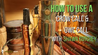 HOW TO USE A CROW CALL amp OWL CALL [upl. by Nortyad954]