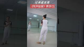 藏族舞《牧羊姑娘》中央民族大学的完整版教材 小含老师背面演绎详细教学 [upl. by Ahsieker]