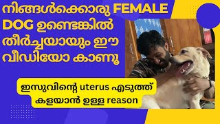 ഇസൂട്ടന്റെ surgery sterilization നാളെ ആണ് female dogs നെ spay ചെയ്യാനുള്ള കാരണങ്ങൾ [upl. by Dinnie]