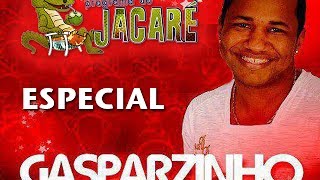 PROGRAMA DO JACARE ESPECIAL GASPARZINHO  VAI NO CAVALINHO  PO PO POPOZAO  PEGANDO A SUA IRMÃ [upl. by Dew]