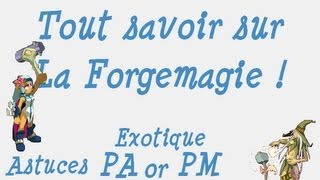 Kakahuete Tout savoir sur la Forgemagie 6 Baguette des Limbes Exo Vitalité Astuce Kamas [upl. by Padgett]