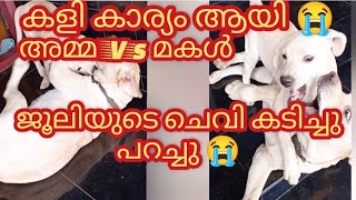 ജൂലിയുടെ ചെവി കടിച്ചു പറച്ചു 😱💥കളി കാര്യം ആയി⁉️ 😭അമ്മയും❌ മകളും ⁉️ഇതിൽ ആരാണ് കൂടുതൽ അപകടക്കാരി⁉️ [upl. by Fulviah]