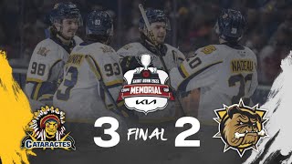 Shawinigan Cataractes 3 Hamilton Bull Dogs 2  Faits SaillantsFull Highlights  230622 [upl. by Okeim]