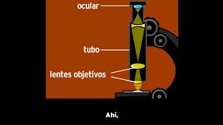 MICROSCOPIO [upl. by Shorter]