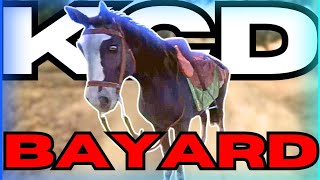 Kingdom Come Deliverance  Does The Horse Bayard Really Hate Water [upl. by Dorren]