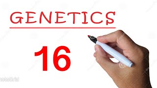 Genetics  Epistasis All Cases [upl. by Enyaz]