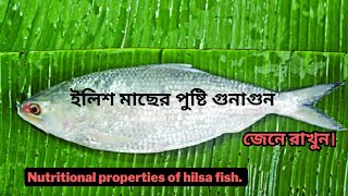 ইলিশের পুষ্টি গুনাগুন Nutritional properties of hilsa fish [upl. by Pacifa]