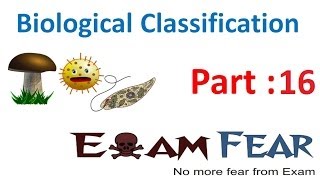 Biology Biological Classification part 16 Fungi reproduction CBSE class 11 XI [upl. by Armalda]