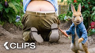 Peter Rabbit  10 Minutes Funny Scenes Compilation 2018 [upl. by Neddie]