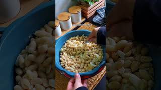 Kacang goreng bawang putih rangup dan sedap [upl. by Elagiba]