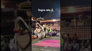 Sugra  ide betare gedE jagat palaktiying mesolah ring Natar agung pengotan🙏 [upl. by Tung]