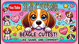 Why BEAGLE PUPPIES Are So CUTE [upl. by Airetnuhs]