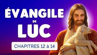 Évangile de Luc 🙏 Nouveau Testament Bible en Livre Audio  Luc chapitre 12 à 14 [upl. by Ylenats]