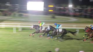 Barbados horse racing at Garrison Savannah [upl. by Gnouhc]