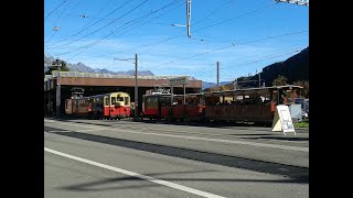 Schynige Platte Bahn Railway Station [upl. by Bouton605]