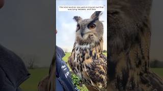 This kind woman rescued an injured owl that was lying helpless and then animalshorts [upl. by Aset]