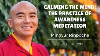 Mingyur Rinpoche  Calming the Mind The Practice of Awareness Meditation [upl. by Baler373]