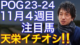 【POG2324】11月４週目デビューの注目新馬を紹介【ノーザンＦ天栄の場長イチオシの超良血馬！！】 [upl. by Ennahgiel]