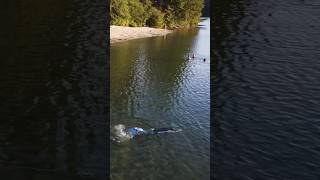 Drone Captures Sighting of Mermaid at the Lake realmermaid mermaid imadethis [upl. by Bartram]