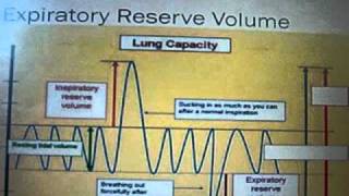 Lung Capacity Spirogram [upl. by Arnie27]