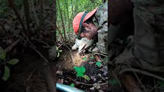 Andare a Tartufi che AVVENTURA la MAGIA della cerca del TartufoBianco con il Lagotto Romagnolo [upl. by Craven]