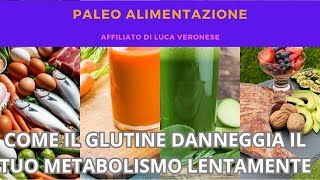 61 Il GLUTINE danneggia il tuo METABOLISMO lentamente ecco perchÃ¨ [upl. by Nysa]