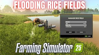 FIRST LOOK AT RICE FIELD FLOODING  Farming Simulator 25 [upl. by Accebar518]