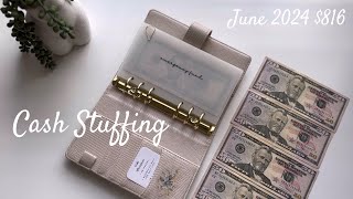 Cash Envelope Stuffing  June 2024 🩵 [upl. by Boylston339]