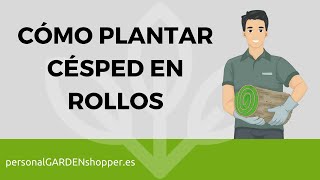 CÓMO PLANTAR CÉSPED EN ROLLOS TEPES [upl. by Anahsar274]