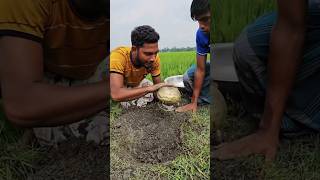 শেষ পর্যন্ত দুই ভাই মাটির মধ্যে গুপ্তধন 🥷পেয়ে গেল 😲shorts trending [upl. by Yoshiko272]