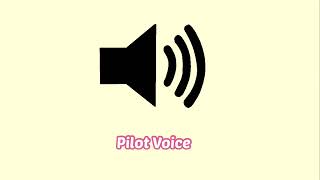 Pilot Voice Sound Effect [upl. by Maximilianus]