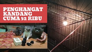 cara bikin penghangat kandang kucing cuma modal 52 ribu [upl. by Araes]