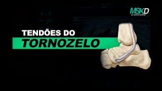 PRÁTICA NO APARELHO  Tendões do tornozelo [upl. by Yonah]