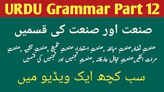 Class 10th amp 12th  Urdu Grammar Part 12  Sanate aur Sanato ki qisme MAHA TET  REET  UPTET [upl. by Minnie]